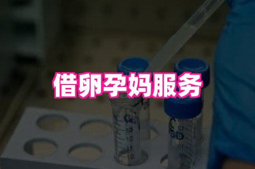 长沙助孕网 2